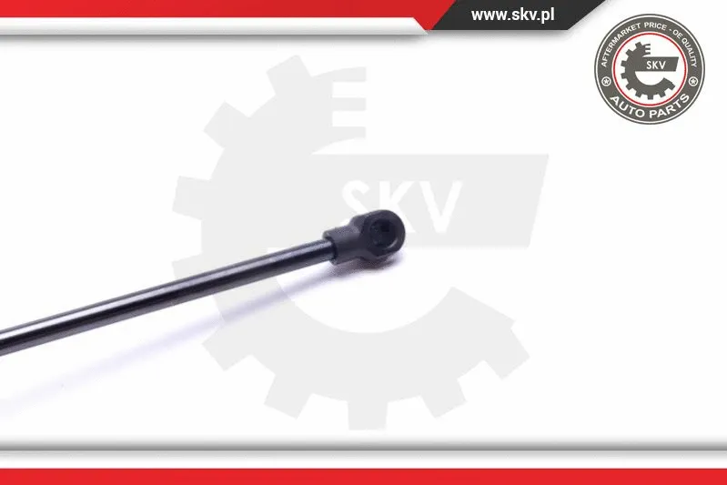 Gas Spring, boot/cargo area