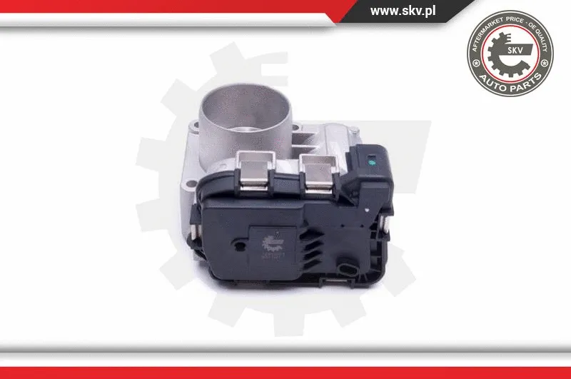 Throttle Body