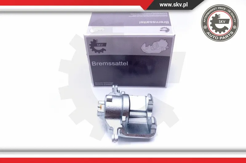 Brake Caliper (42SKV182)