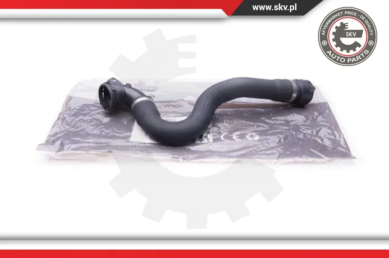 Radiator Hose (24SKV248)