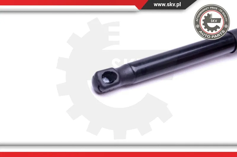 Gas Spring, boot/cargo area