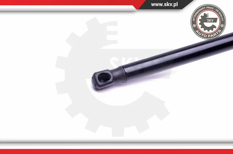 Gas Spring, boot/cargo area