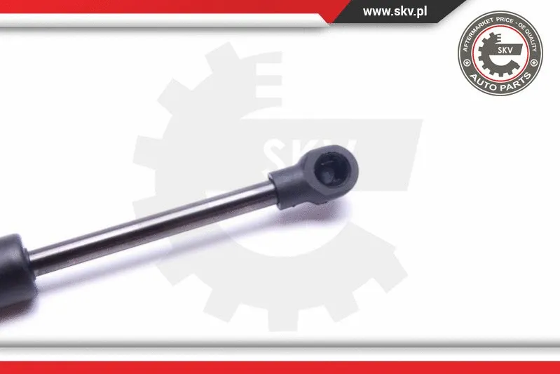 Gas Spring, boot/cargo area