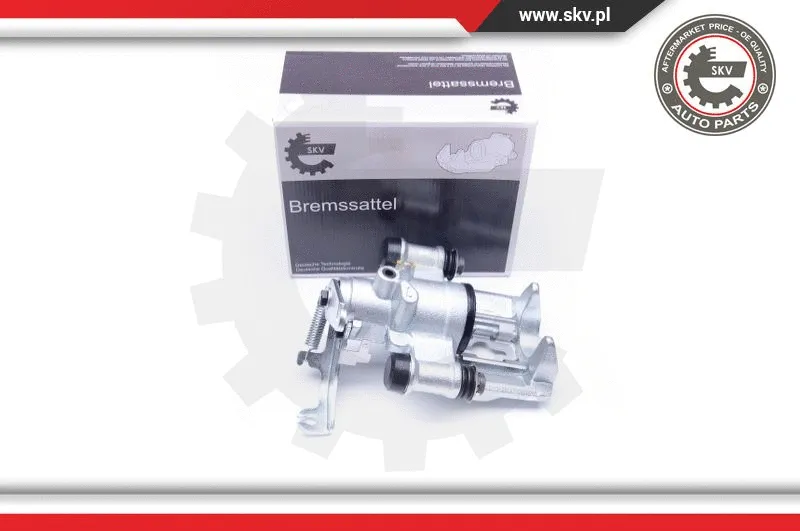Brake Caliper (42SKV383)