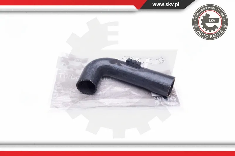 Charge Air Hose (24SKV736)
