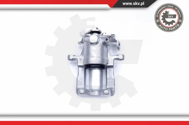 Brake Caliper (45SKV094)