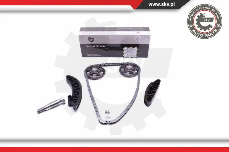 Timing Chain Kit (21SKV172)
