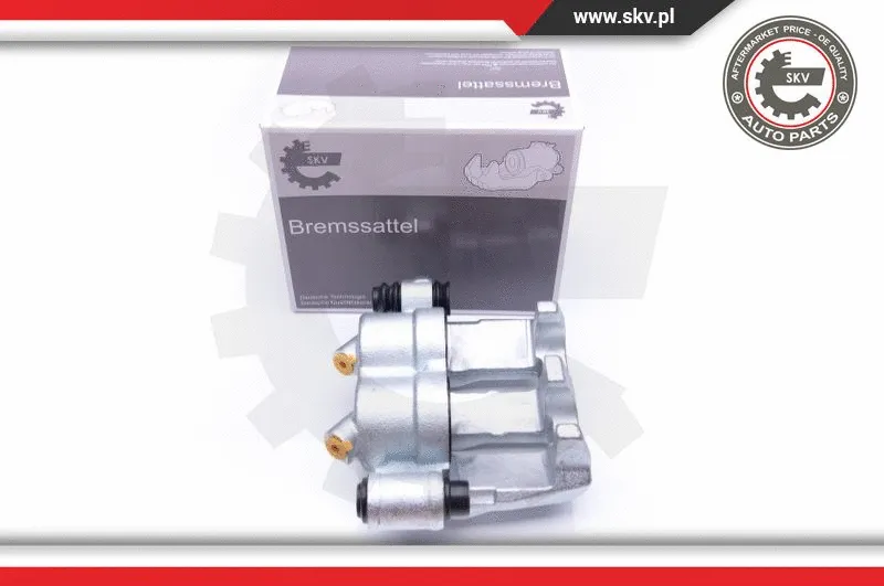 Brake Caliper (42SKV071)