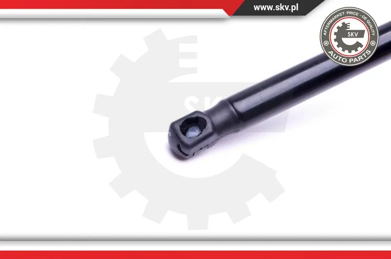 Gas Spring, boot/cargo area