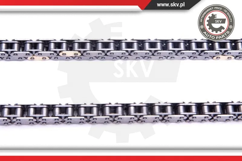 Timing Chain Kit