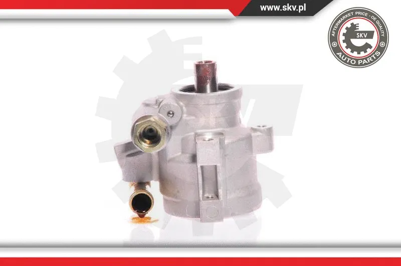 Hydraulic Pump, steering (10SKV126)