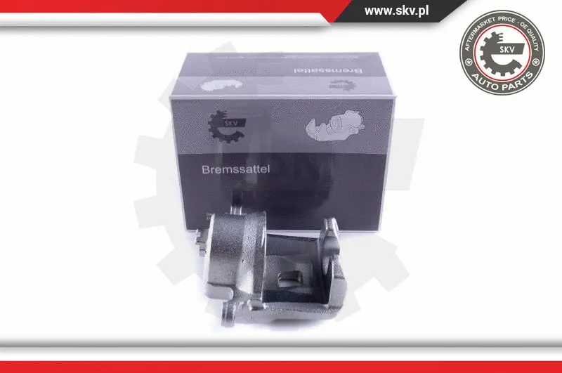 Brake Caliper (55SKV062)