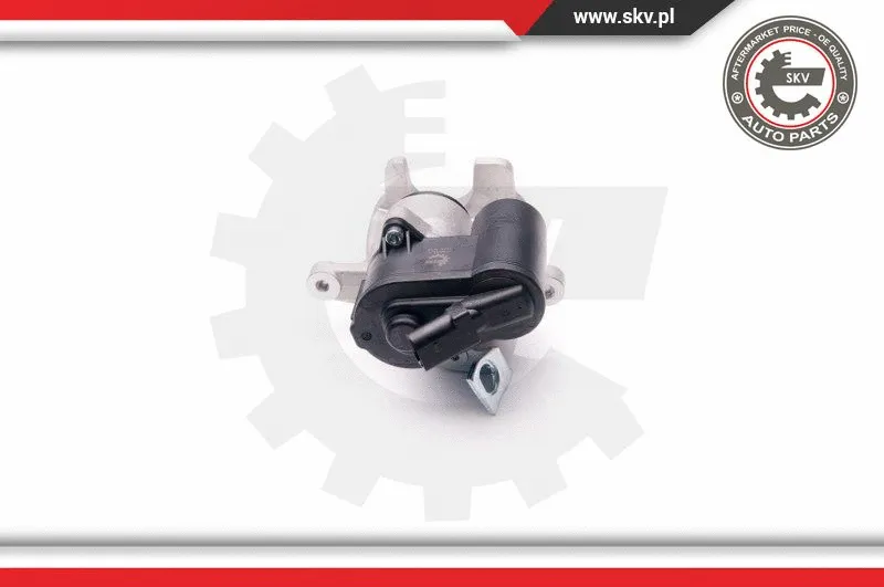 Brake Caliper (23SKV257)