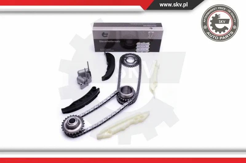 Timing Chain Kit (21SKV167)