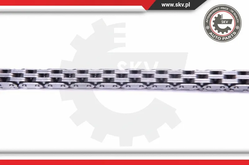 Timing Chain Kit