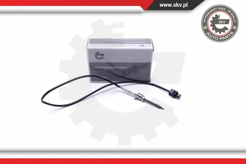 Sensor, exhaust gas temperature (30SKV409)