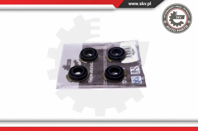 Repair Kit, intake manifold module (96SKV401)