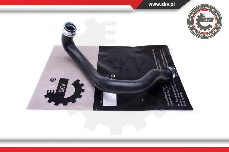 Radiator Hose (43SKV649)