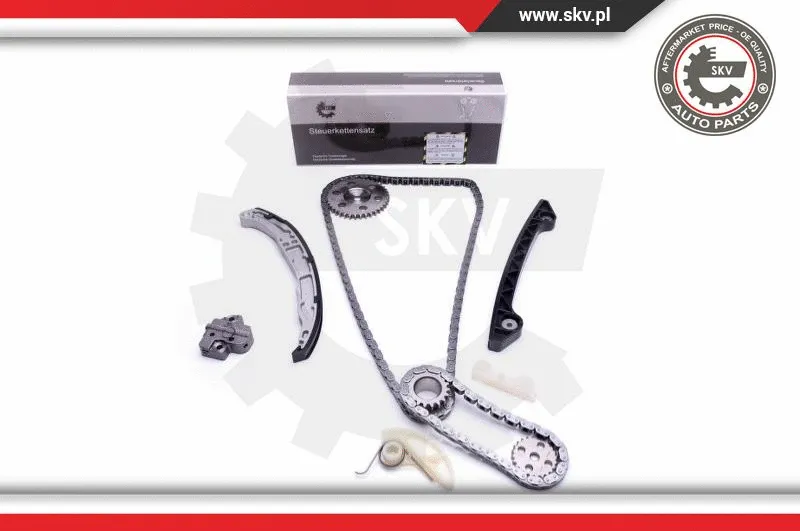 Timing Chain Kit (21SKV242)
