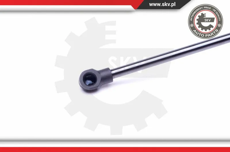 Gas Spring, boot/cargo area