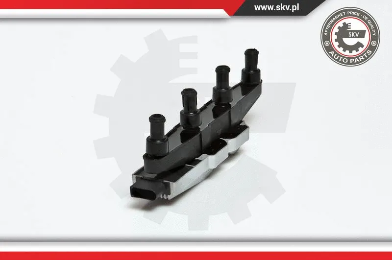 Ignition Coil (03SKV029)