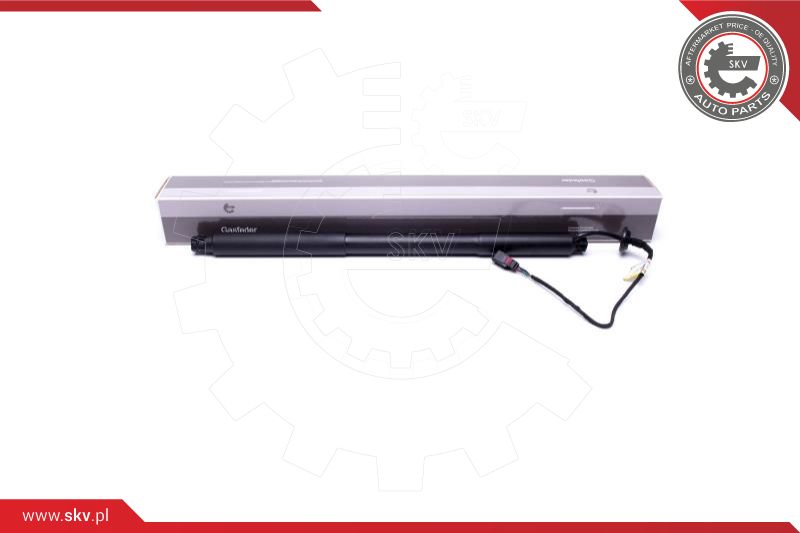 Electric Motor, tailgate (52SKV940)