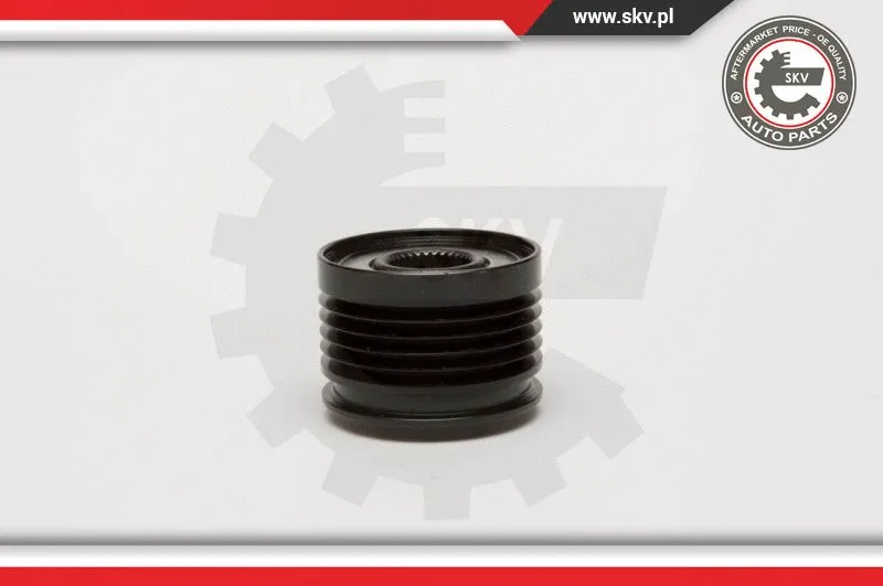 Alternator Freewheel Clutch