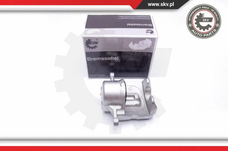 Brake Caliper (42SKV431)