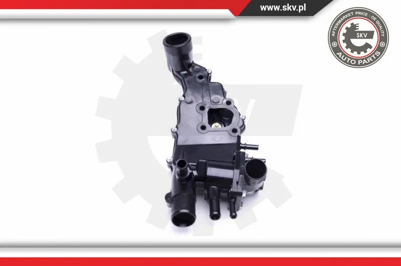 Thermostat, coolant