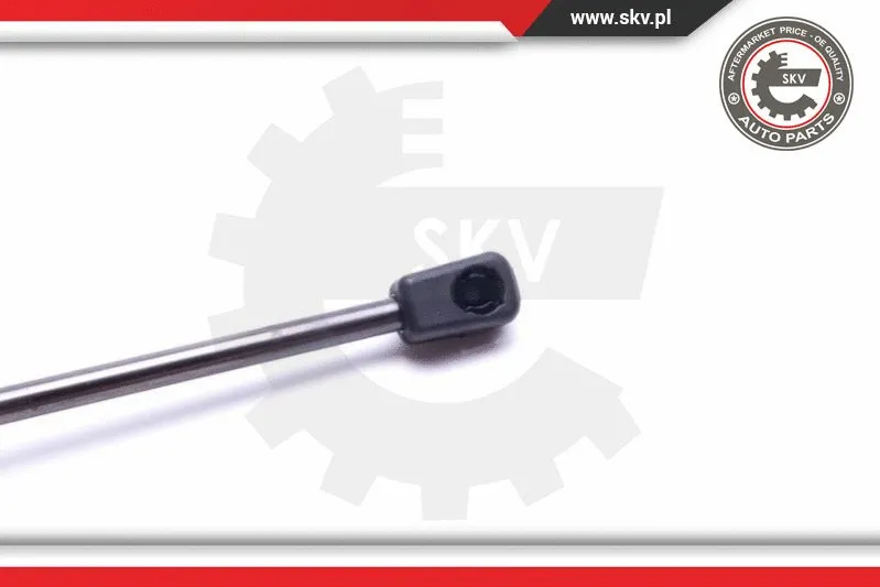 Gas Spring, boot/cargo area