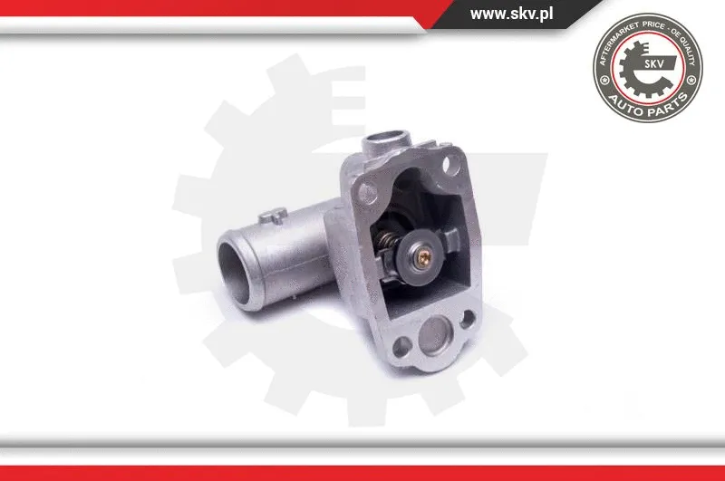 Thermostat, coolant