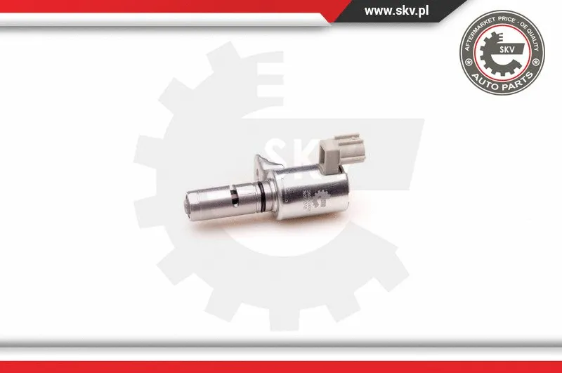 Control Valve, camshaft adjustment (39SKV005)