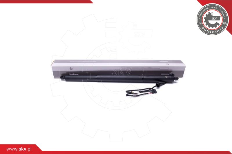 Electric Motor, tailgate (52SKV929)