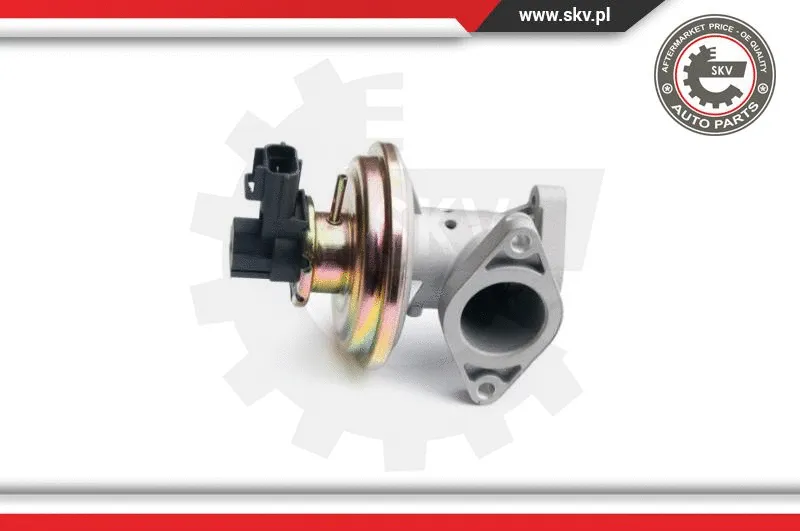 EGR Valve