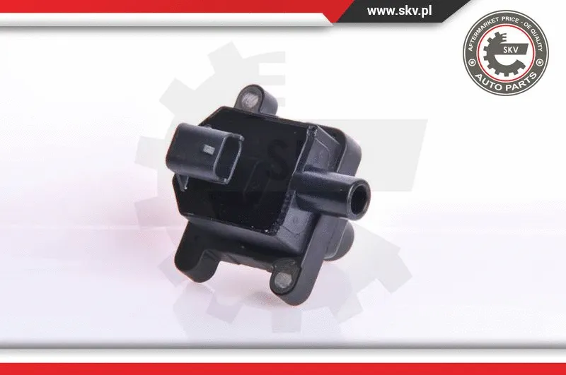 Ignition Coil (03SKV009)