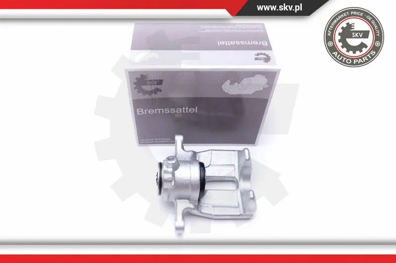 Brake Caliper (44SKV434)