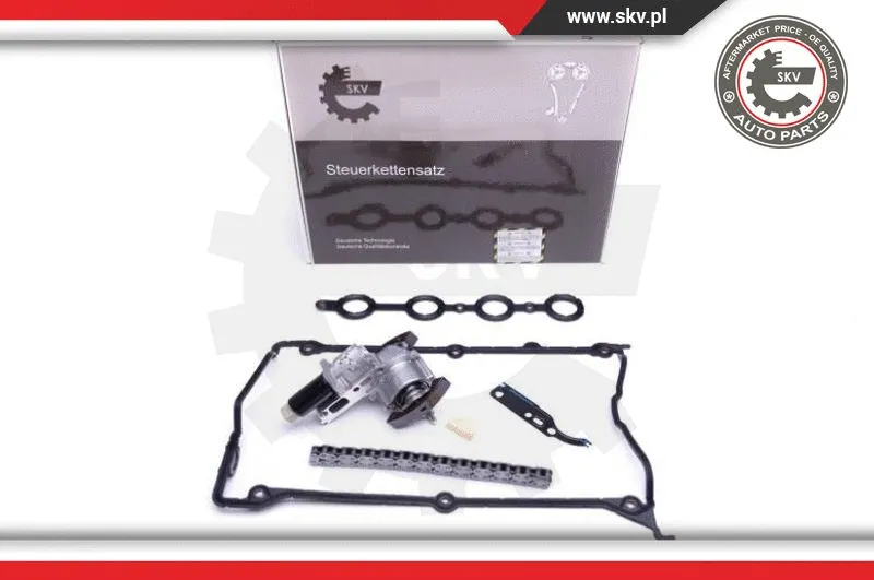 Timing Chain Kit (21SKV110)