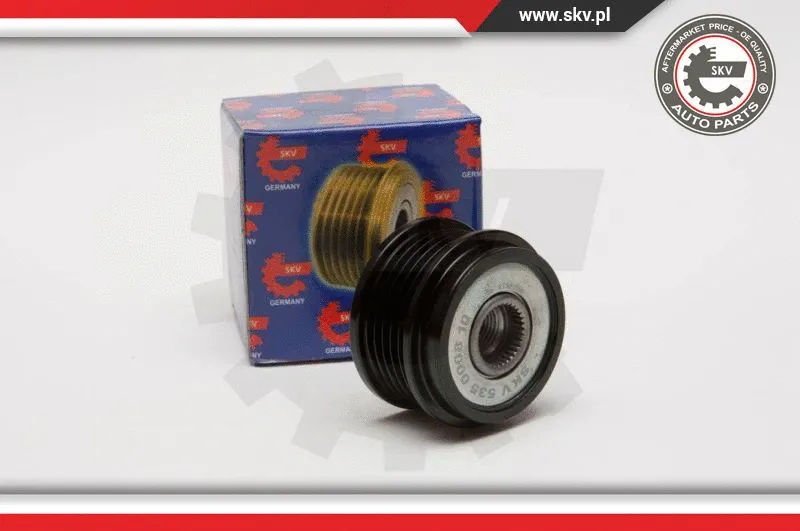 Alternator Freewheel Clutch (11SKV005)