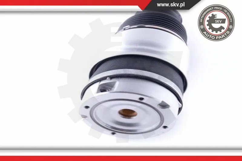 Air Spring, suspension