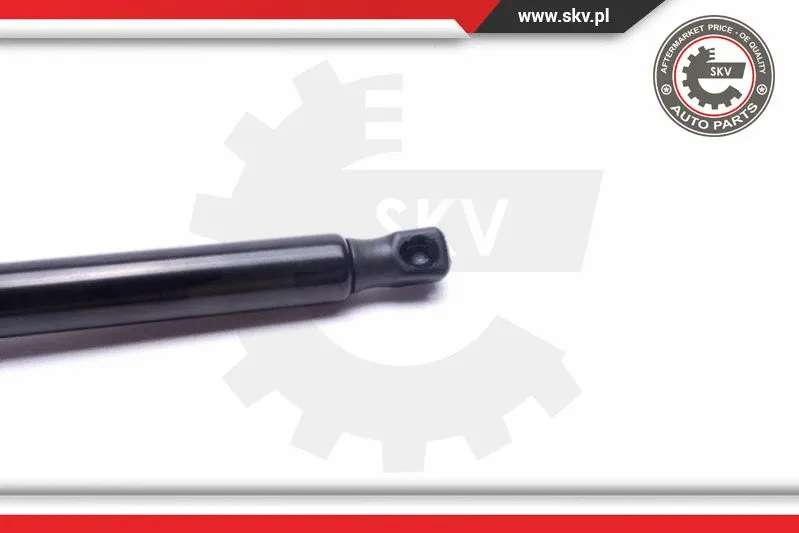 Gas Spring, boot/cargo area