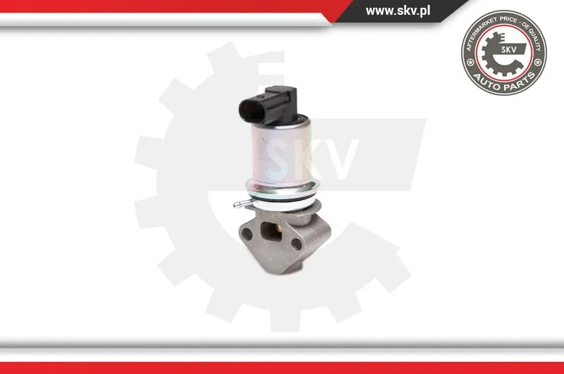 EGR Valve