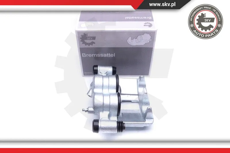 Brake Caliper (42SKV871)