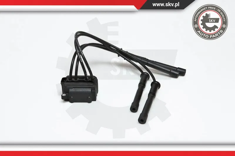 Ignition Coil (03SKV088)