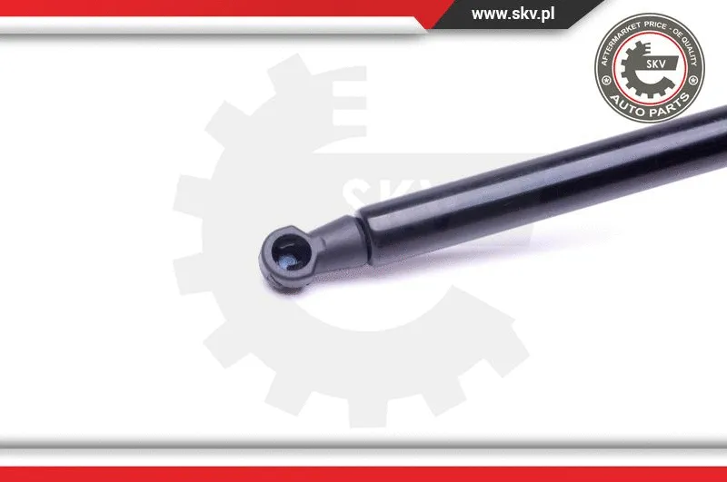 Gas Spring, boot/cargo area
