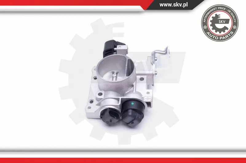 Throttle Body