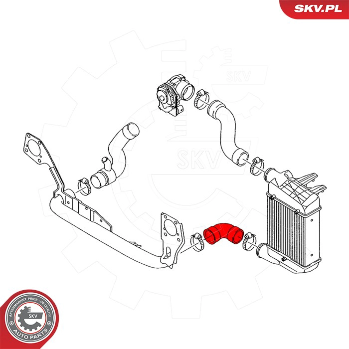 Charge Air Hose