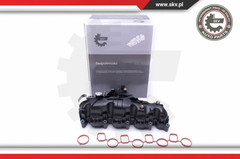 Intake Manifold Module (49SKV047)