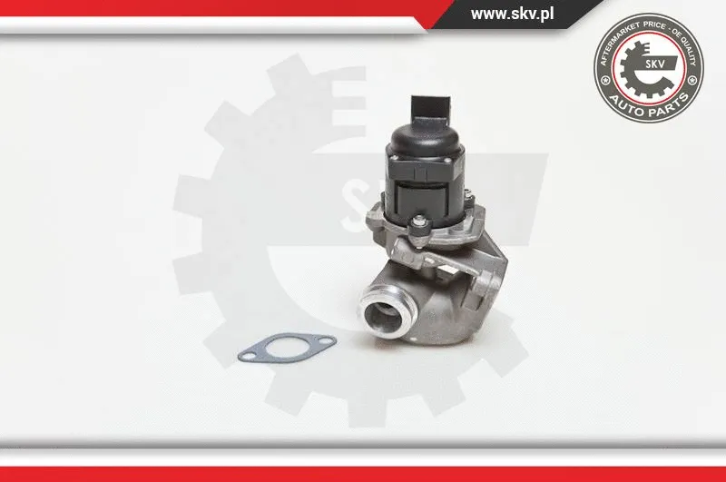 EGR Valve (14SKV028)