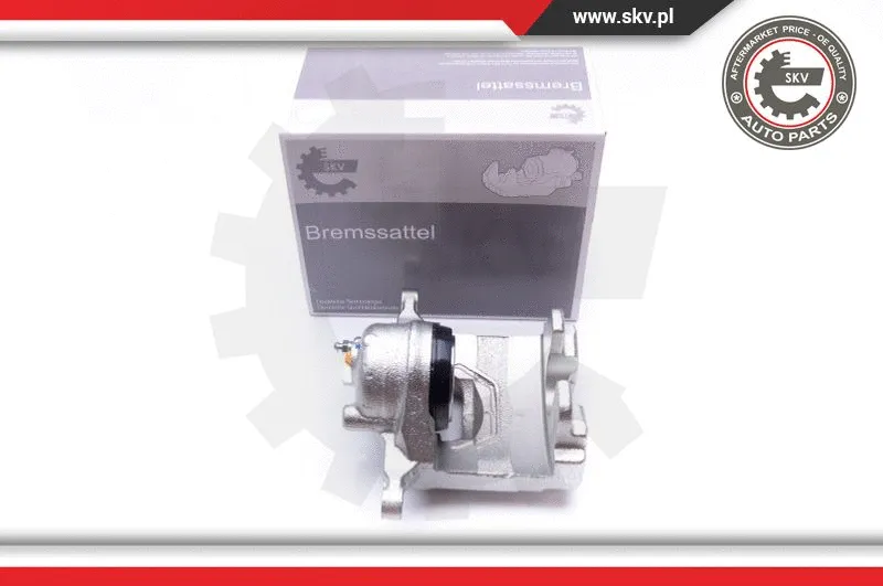 Brake Caliper (42SKV502)
