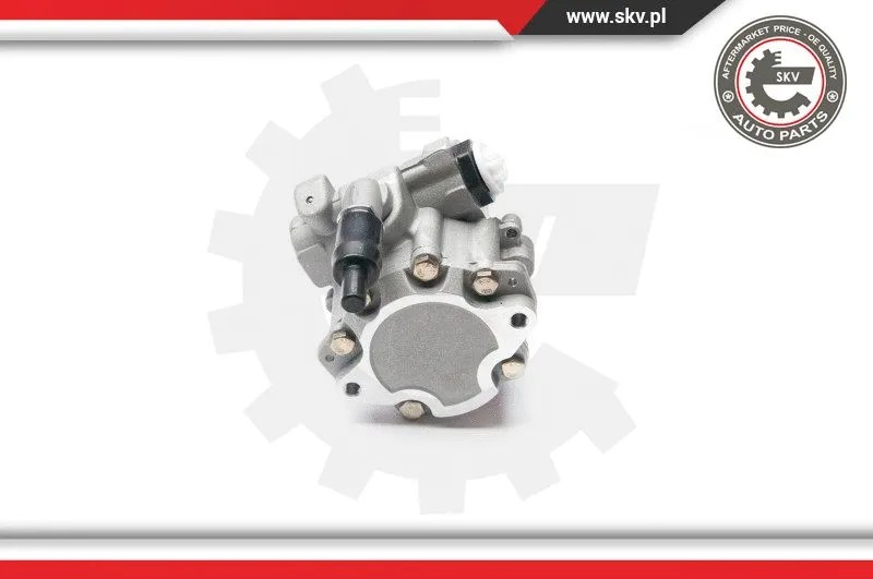 Hydraulic Pump, steering (10SKV199)